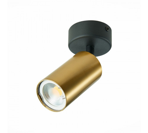 Спот ST Luce ST303 ST303.202.01