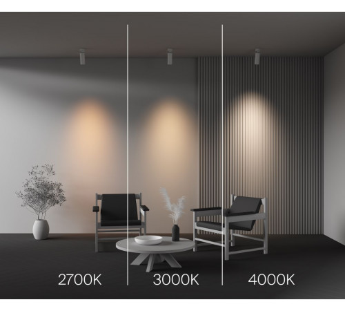 Спот Maytoni Technical Focus Led C055CL-L20W2.7-3-4K-M-W