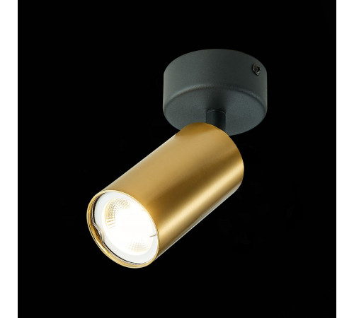 Спот ST Luce ST303 ST303.202.01