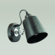 Спот Lumion Neropius 3532/1W