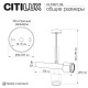 Спот Citilux Vektor CL51321_BL