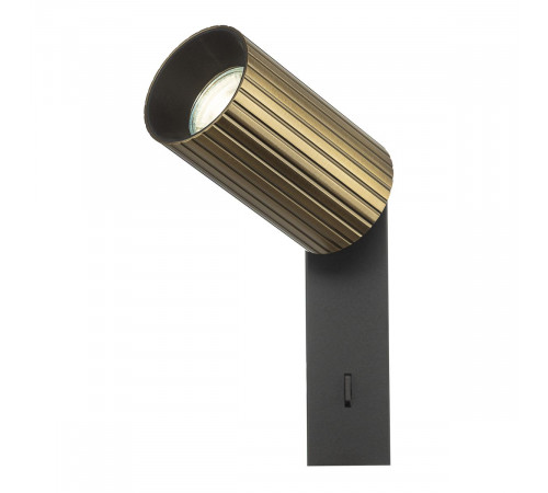 Спот Citilux Axel CL512513R