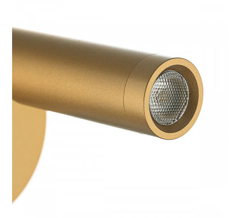 Спот Citilux Dekart CL704102