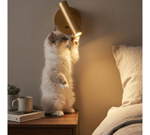 Спот Citilux Dekart CL704102