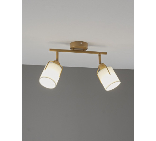 Спот Moderli Inari V11854-2C