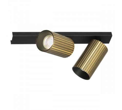 Спот Citilux Axel CL512523R