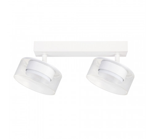 Спот Arte Lamp Alius A8042PL-2WH