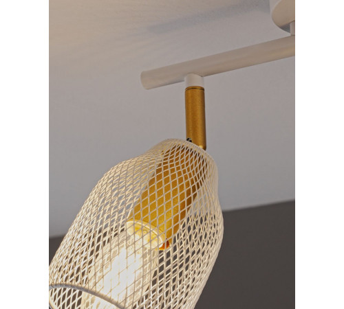 Спот Moderli Adalina V11840-2C