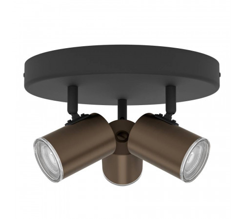 Спот Eglo Consuma 1 300591