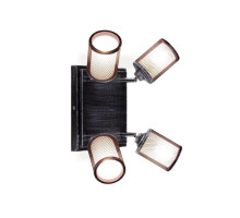 Спот Citilux Робин CL535541