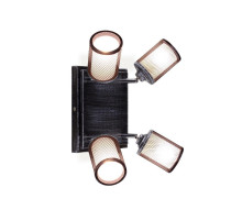 Спот Citilux Робин CL535541