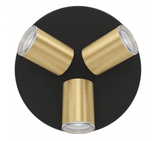 Спот Eglo Consuma 1 300586