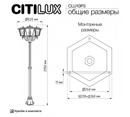 Парковый светильник Citilux Forts CLU10P3