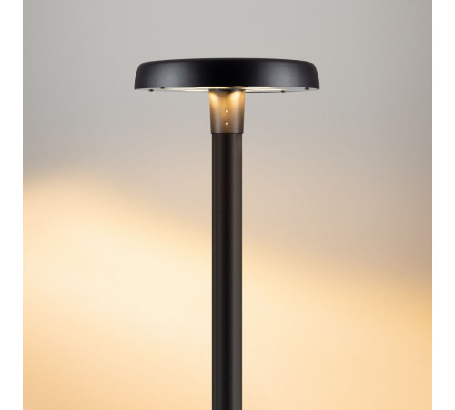 Уличный светильник Arlight ALT-CAN-50W Warm2700 (BK, 140 deg, 230V) (IP65 Металл) 060326