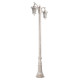 Парковый светильник Loft IT Tremezzo 100019/2200 WBG