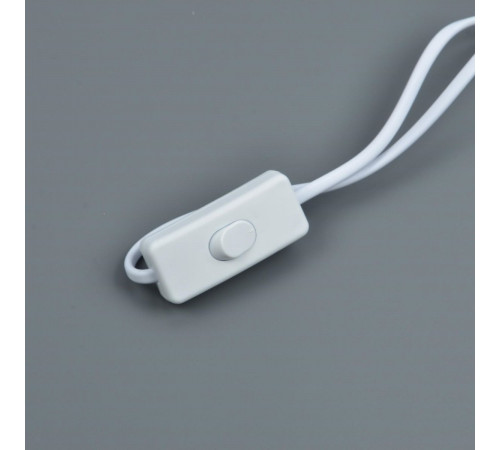 Провод для соединения светильников Uniel UCX-PT2/L10-300/B WHITE 1 STICKER UL-00009802 Провод для соединения светильников Uniel UCX-PT2/L10-300/B WHITE 1 STICKER UL-00009802