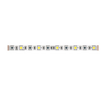 Светодиодная лента Maytoni Technical 24В 5050 14,4Вт/м RGB+W 6000K IP20 10178