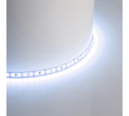 Светодиодная лента 24V Feron LS506, 120*SMD2835, 11W/m, IP20, 6500К (белый холодный) 53059