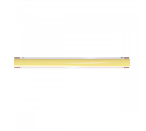 Светодиодная лента Arte Lamp Lane 24В 10Вт/м 5800/6500K 5м IP20 A2432005-03-6K