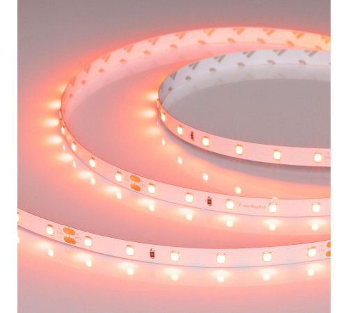 Светодиодная лента Arlight RT-A60-8mm 24V Carrot (4.8 W/m, IP20, 5m) 055375 Светодиодная лента Arlight RT-A60-8mm 24V Carrot (4.8 W/m, IP20, 5m) 055375