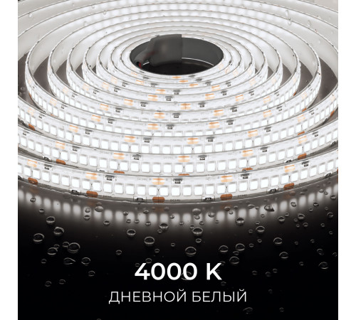 Светодиодная лента Apeyron 24В, 14,4 Вт/м, 1200 лм/м, 4000К, smd2835, 240 д/м, IP65, 5м 00-504
