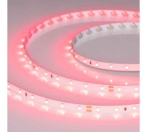 Светодиодная лента Arlight RT-A60-8mm 24V Ruby (4.8 W/m, IP20, 5m) 055374 Светодиодная лента Arlight RT-A60-8mm 24V Ruby (4.8 W/m, IP20, 5m) 055374