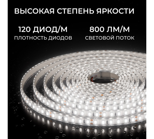 Светодиодная лента Apeyron 24В, 9,6 Вт/м, 800 лм/м, 4000К, smd2835, 120 д/м, IP65, 5м 00-442