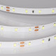 Светодиодная лента Arlight RT-A60-8mm 24V Ice Blue (4.8 W/m, IP20, 5m) 055376