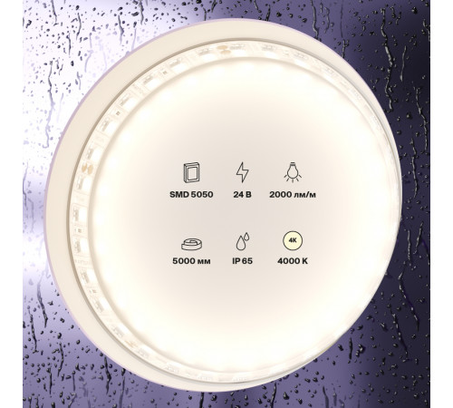 Светодиодная лента Maytoni Led Strip 24В 5050 21Вт/м 4000K 5м IP65 20026