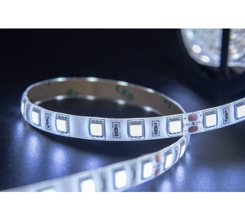 Светодиодная лента SWG SWG560-24-14.4-W-65-M 009710