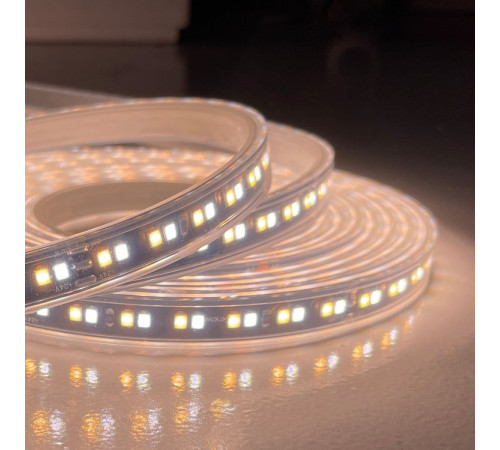 Светодиодная лента Favourite 24В SMD2835 19,8Вт/м 6500K 5м IP65 2001-62065