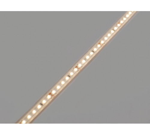 Лента светодиодная Designled DSG 2835 WW 120L-V24-IP65, 3000K, 120 LED, 9,6 W/m, LUX 00-00038149