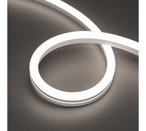 Светодиодная лента герметичная Arlight MOONLIGHT-PRO-SIDE-X320-12x24mm 48V White6000 (10 W/m, IP67, 30m, wire x2) (Вывод боковой) 061060