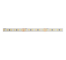 Светодиодная лента Feron LS511 24В 2835 11Вт/м 6000К 5м IP65 51636