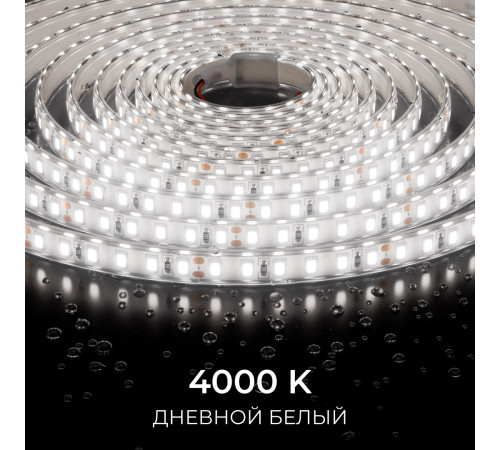 Светодиодная лента Apeyron 24В, 9,6 Вт/м, 800 лм/м, 4000К, smd2835, 120 д/м, IP65, 5м 00-442