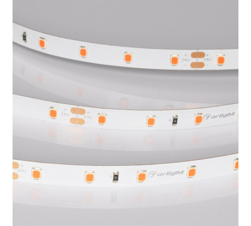 Светодиодная лента Arlight RT-A60-8mm 24V Ruby (4.8 W/m, IP20, 5m) 055374 Светодиодная лента Arlight RT-A60-8mm 24V Ruby (4.8 W/m, IP20, 5m) 055374