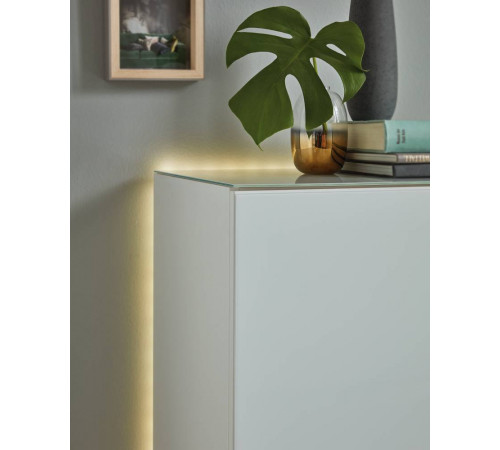 Светодиодная лента Eglo Flexible Stripe 99724