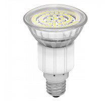 Лампа светодиодная Kanlux LED60 E14 3,3W 2900-3500К 8934