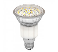 Лампа светодиодная Kanlux LED48 E14 2,5W 6200-6800К 8925