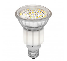 Лампа светодиодная Kanlux LED48 E14 2,5W 6200-6800К 8925
