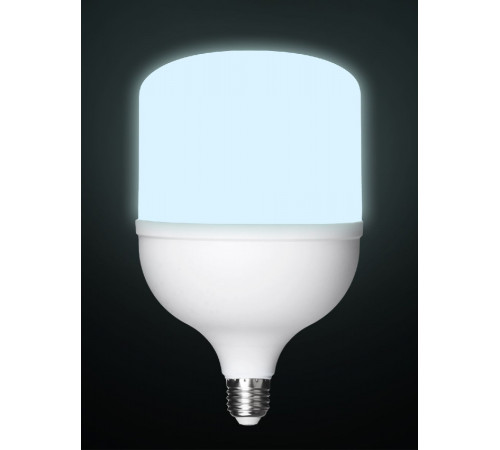 Лампа светодиодная TDM Electric Народная E27 60W 6500K матовая SQ0340-1649