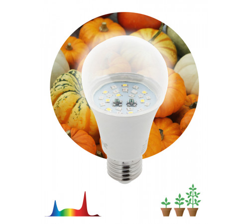 Фитолампа для растений Эра FITO-11W-Ra90-E27 Б0050603 Фитолампа для растений Эра FITO-11W-Ra90-E27 Б0050603