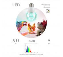 Светодиодная лампа для птиц и рептилий Эра FITO-Dim 9W Chicken E27 Б0059884