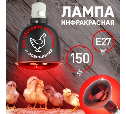 Инфракрасная лампа для обогрева животных и освещения Эра ИКЗК 230-150 R127 Б0055441