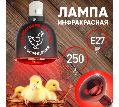 Инфракрасная лампа для обогрева животных и освещения Эра ИКЗК 220-250 R127 Б0055442 Инфракрасная лампа для обогрева животных и освещения Эра ИКЗК 220-250 R127 Б0055442