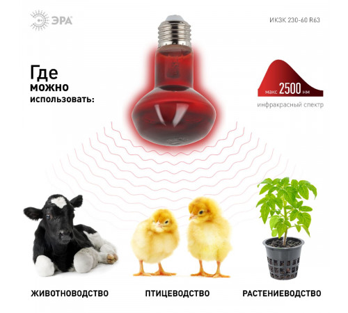 Инфракрасная лампа для обогрева животных Эра ИКЗК 230-60 R63 Е27 Б0057281