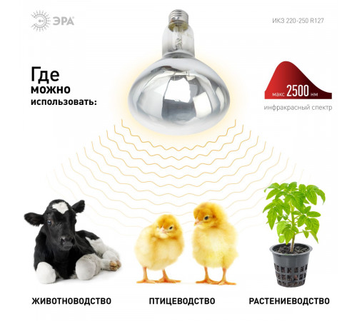 Инфракрасная лампа для обогрева животных и освещения Эра ИКЗ 220-250 R127 E27 Б0055440