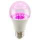 Светодиодная фитолампа для растений Эра ФИТО A60-15W-PL-E27-GR Б0064548