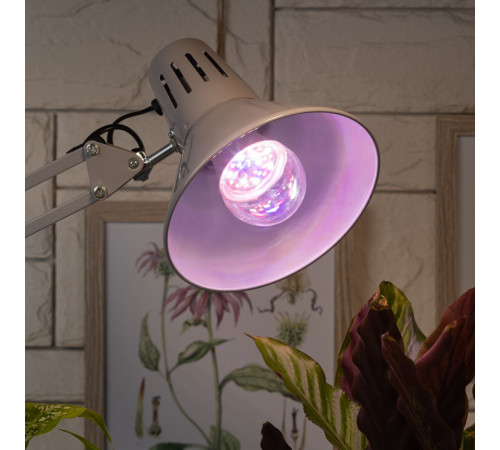 Фитолампа для растений Эра FITO-11W-Ra90-E27 Б0050603 Фитолампа для растений Эра FITO-11W-Ra90-E27 Б0050603