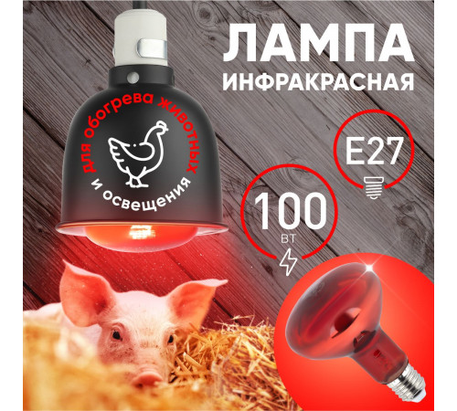 Инфракрасная лампа для обогрева животных и освещения Эра ИКЗК 230-100 R95 E27 Б0064638